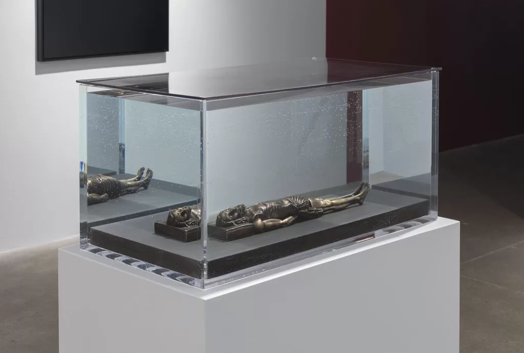 Conatus (Exhibition)